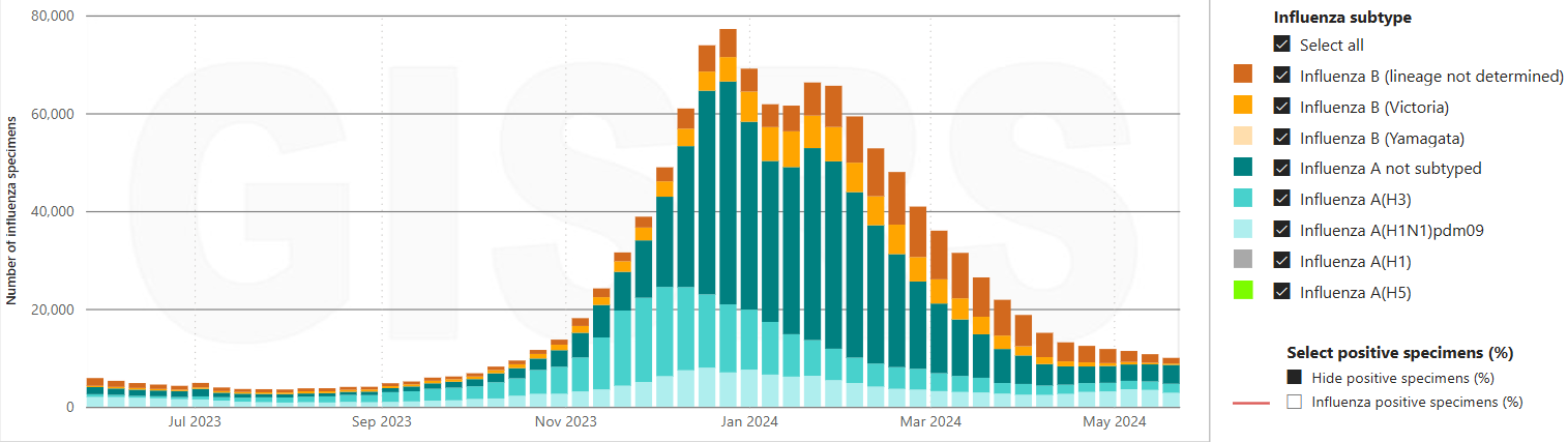 Flunet-globalvirus20240621