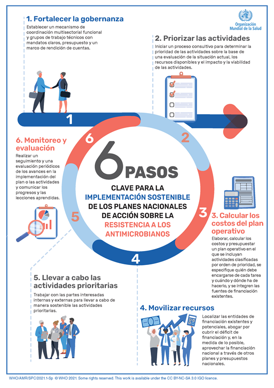 WHO infographic NAP implementation handbook Es