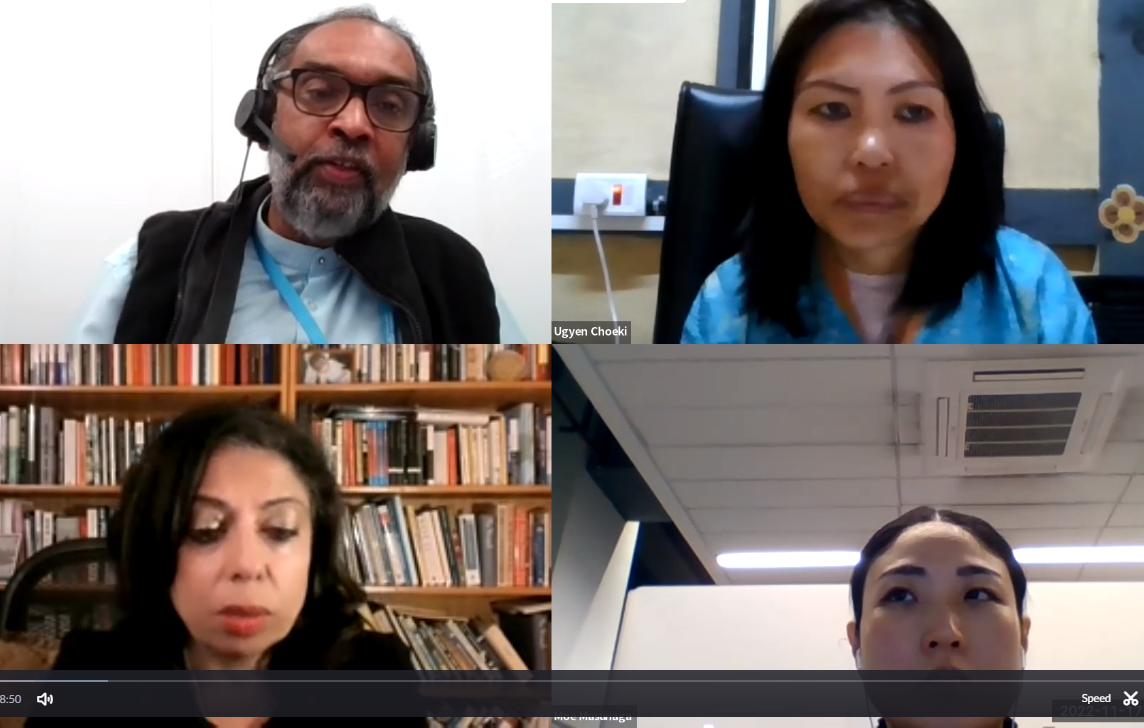 webinar screenshot